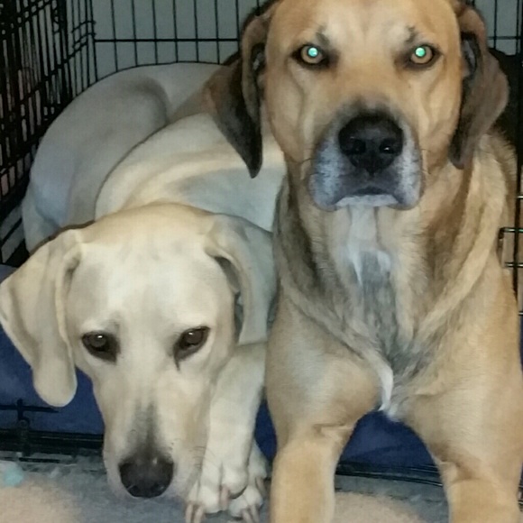 Meet your Posher, Paula - Picture 1 of 1