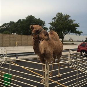 Meet your Posher, Jon