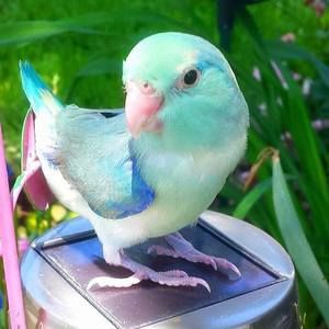 Meet your Posher, Debi