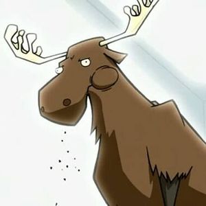 Meet your Posher, Robyn