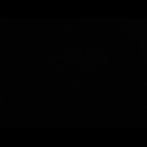 Meet your Posher, Ivan