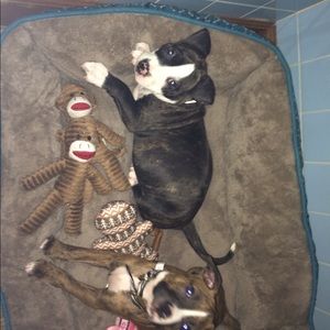 Meet your Posher, Heather