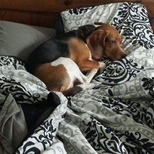 Meet your Posher, Chelsea