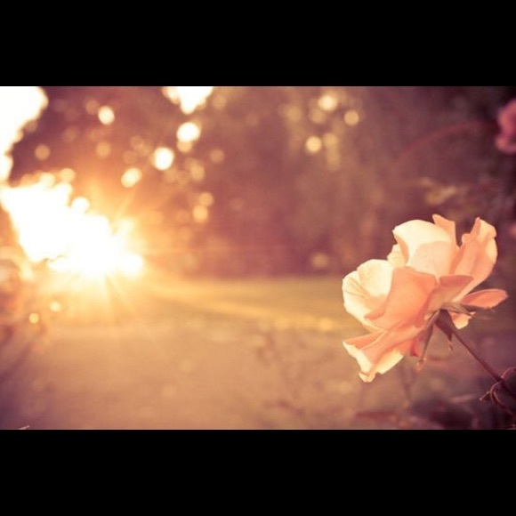 Meet your Posher, Mill - Picture 1 of 1