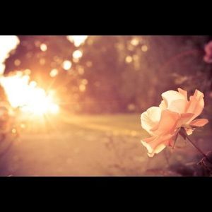 Meet your Posher, Mill