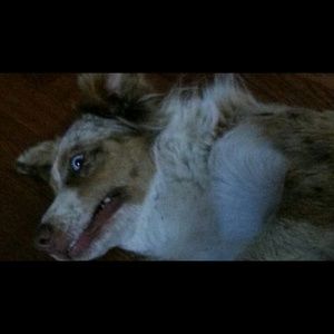 Meet your Posher, Cynthia