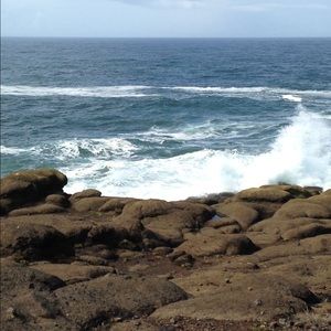 Meet your Posher, June