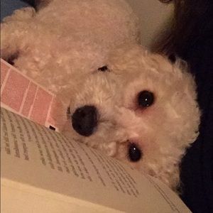 Meet your Posher, Itzel