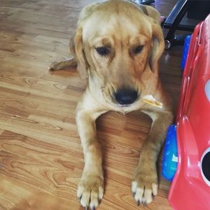 Meet your Posher, Jada