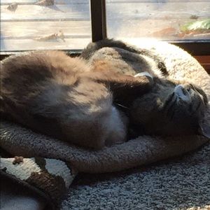 Meet your Posher, Alexis