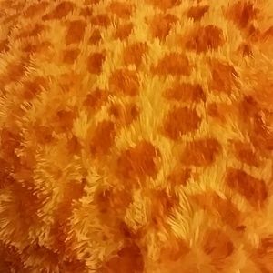 Meet your Posher, Tabitha