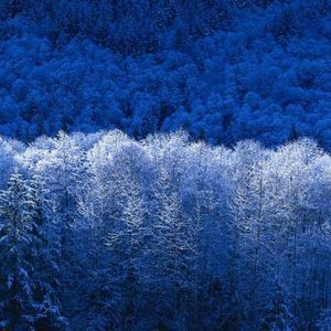 Meet your Posher, Selenium