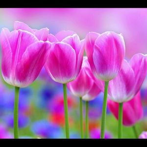 Meet your Posher, Jacki