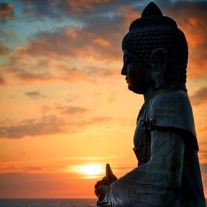 Meet your Posher, Mema