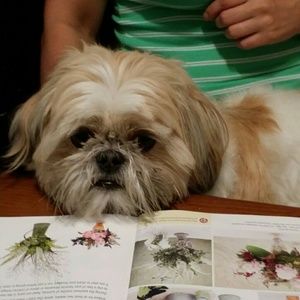 Meet your Posher, Kelli