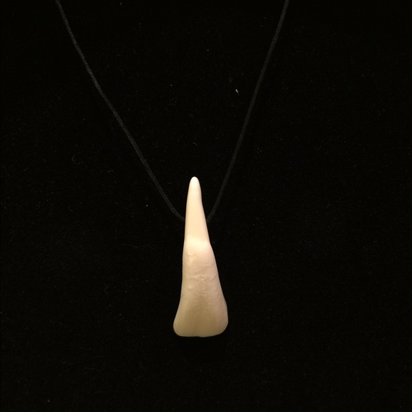 Taxidermy Jewelry Real Buffalo Tooth Necklace