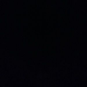 Meet your Posher, Bob