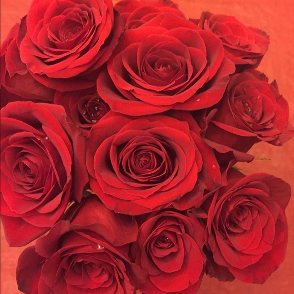 Meet your Posher, Brianna - Picture 1 of 1