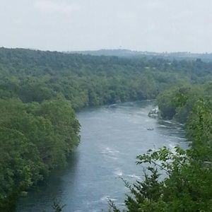 Meet your Posher, Lacey