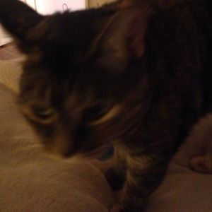 Meet your Posher, Sara