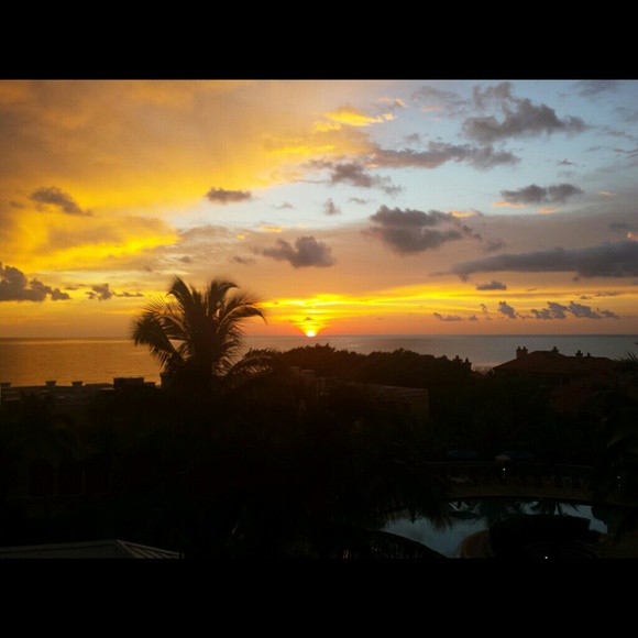 Meet your Posher, Laurie