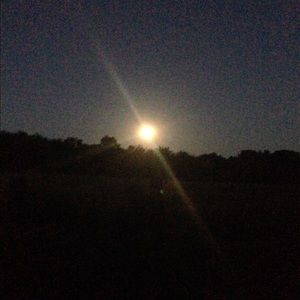 Meet your Posher, Tara