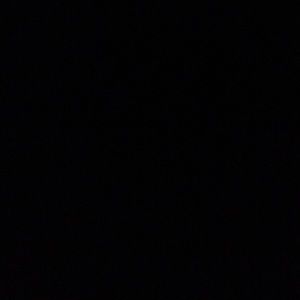 Meet your Posher, Irene