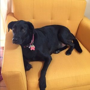 Meet your Posher, Kelly