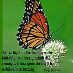 Meet your Posher, Julie