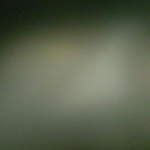 Meet your Posher, Winston