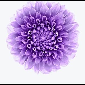 Meet your Posher, Viktoriys