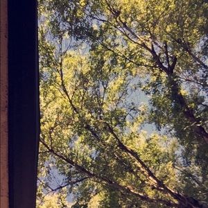 Meet your Posher, Aimey