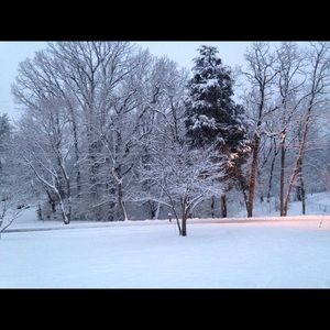 Meet your Posher, Stacey