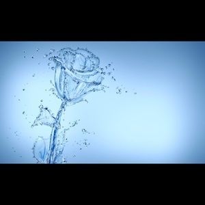 Meet your Posher, Michele