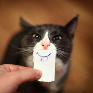 Meet your Posher, Mia