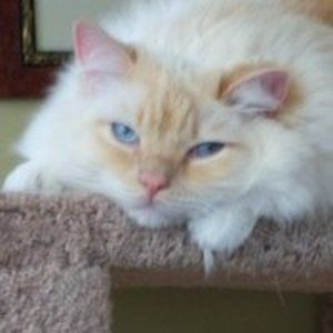 Meet your Posher, Julie