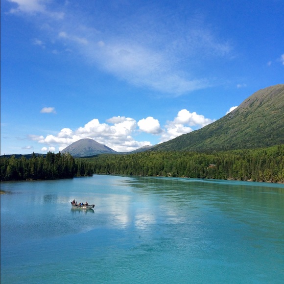 Meet your Posher, Joycelin - Picture 1 of 1