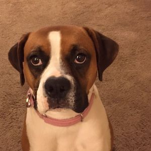 Meet your Posher, Valya