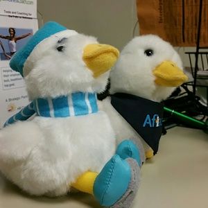 Meet your Posher, Joann