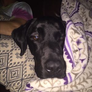 Meet your Posher, Katie