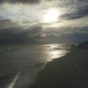 Meet your Posher, Judy