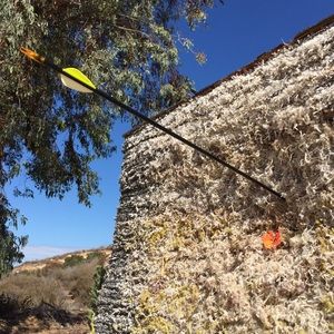 Meet your Posher, Carl