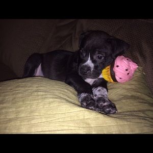 Meet your Posher, Michelle