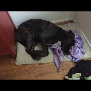 Meet your Posher, Glenda