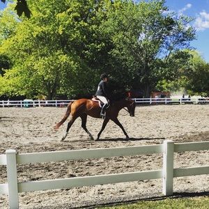 Meet your Posher, Maggee