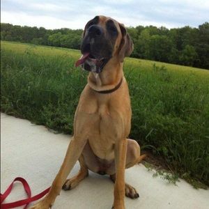 Meet your Posher, Leigh