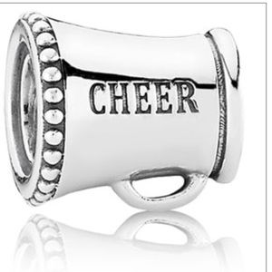 Pandora Charm bundle