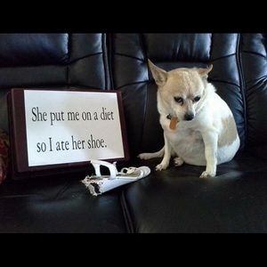 Meet your Posher, Megan