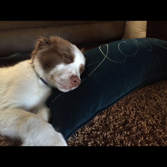 Meet your Posher, Diane - Picture 1 of 1