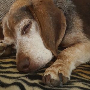 Meet your Posher, Jamie